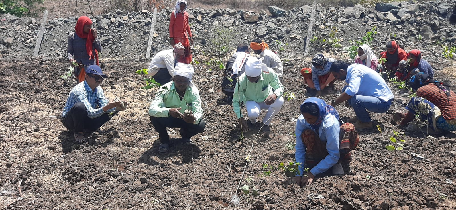 vijayrajrahee Newasa Plantation